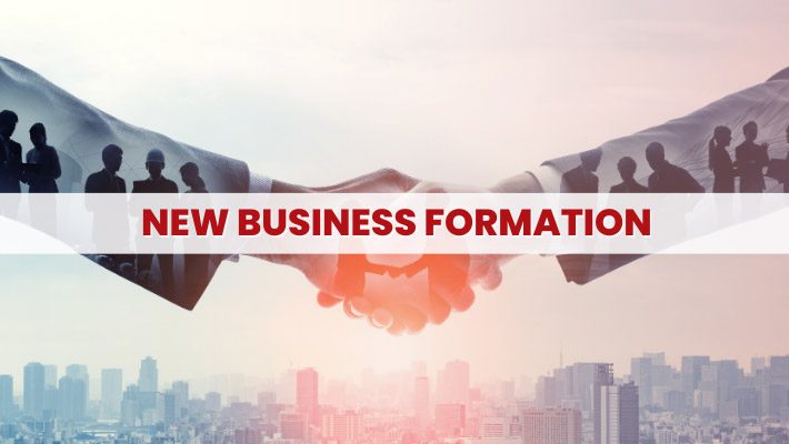 12 New Business Formation
