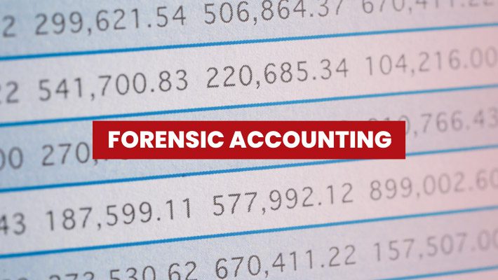 17 forensic accounting